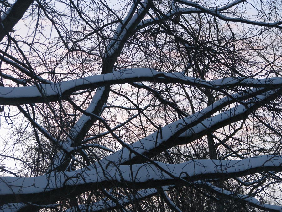 IMG_6859