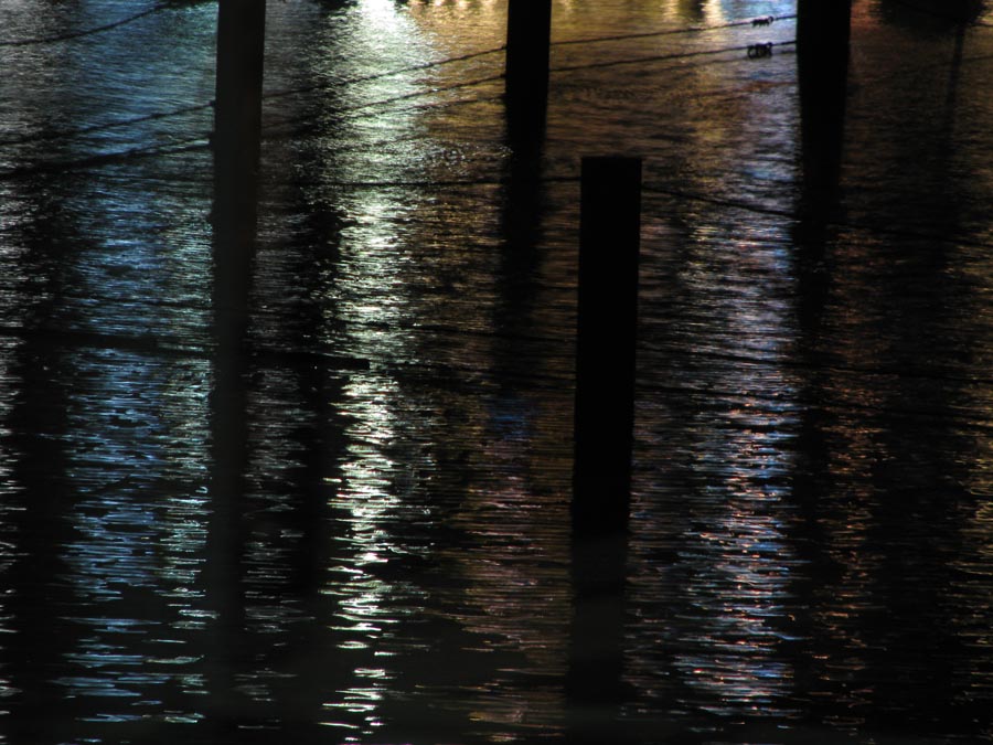 IMG_7407
