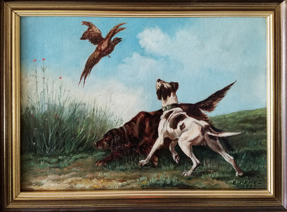 dogs
