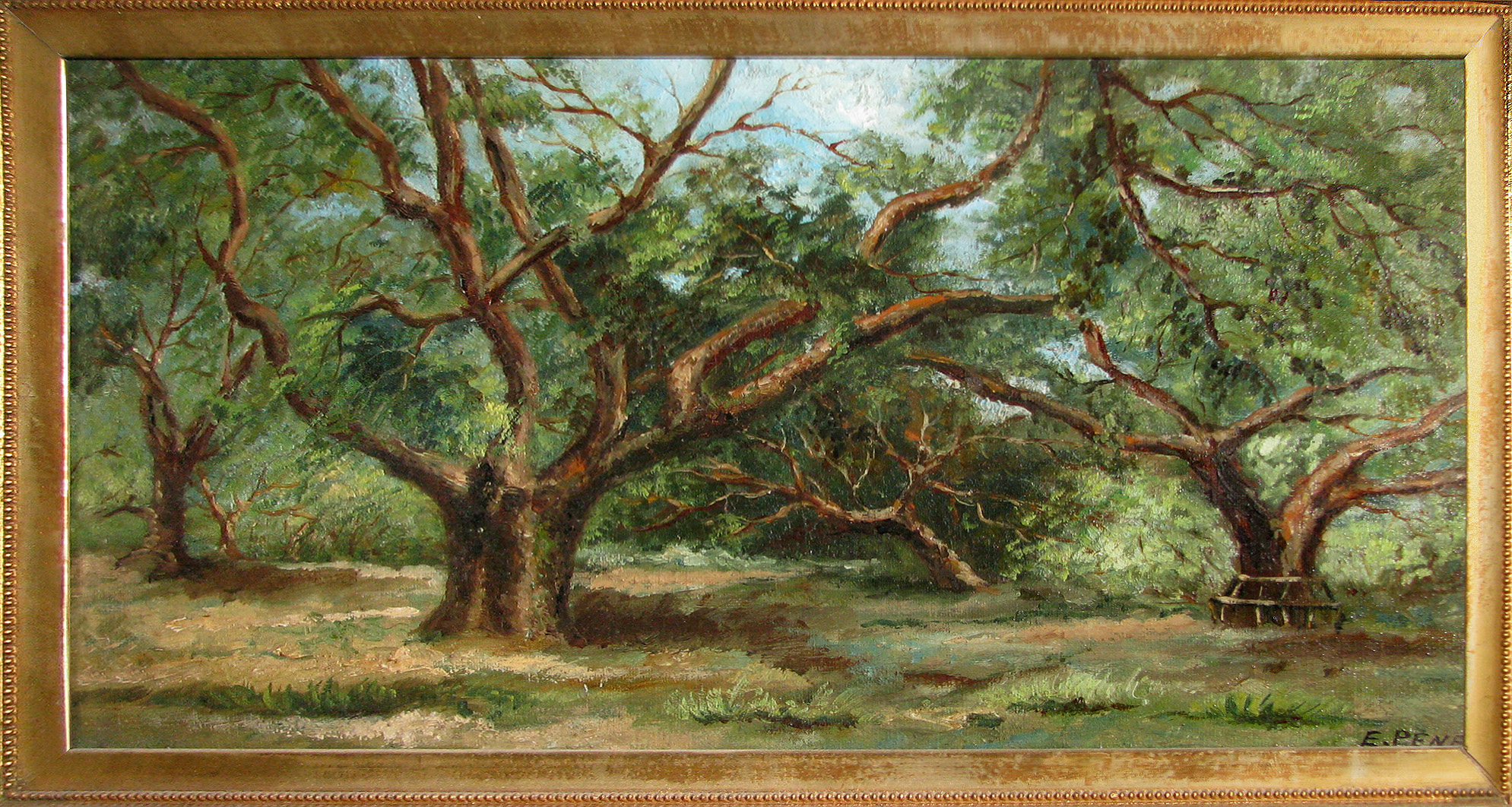 Orchard