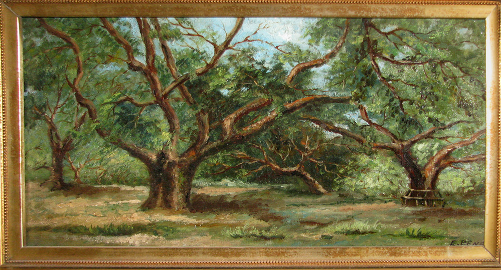 Orchard
