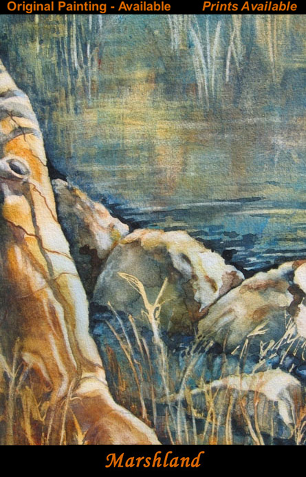 marshland
