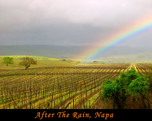 After The Rain, Napa