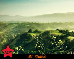 Mt Diablo