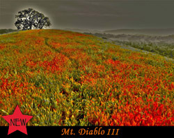 Mt Diablo