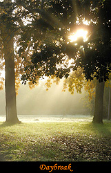 DayBreak