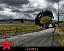 Sonoma
