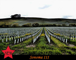 Sonoma