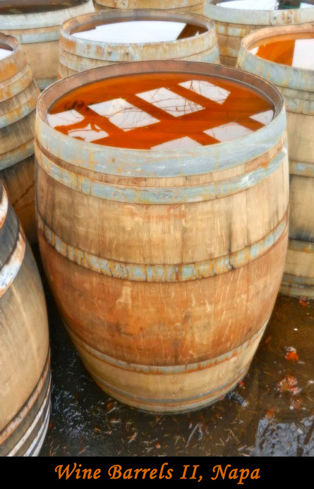 Wine Barrels II, Napa