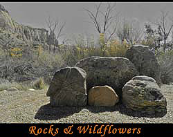 new mexico image
