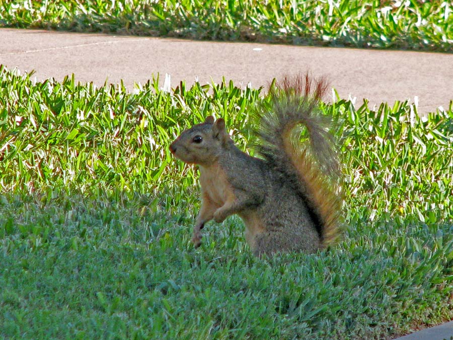 IMG_5169