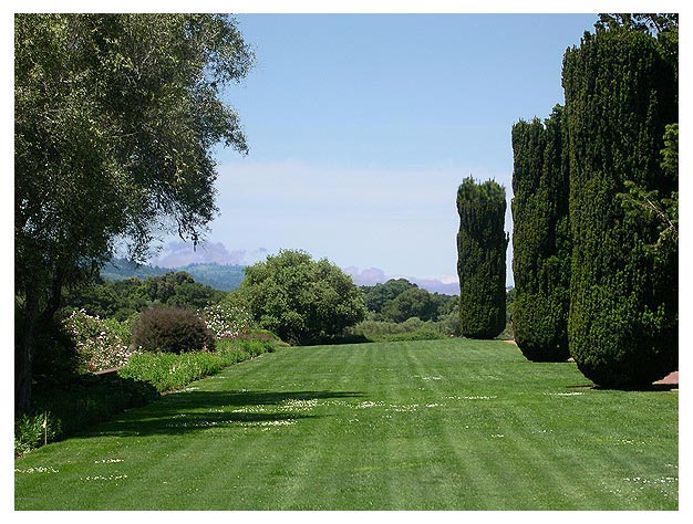 Filoli Garden