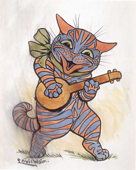 cat