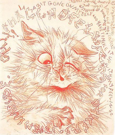 cat