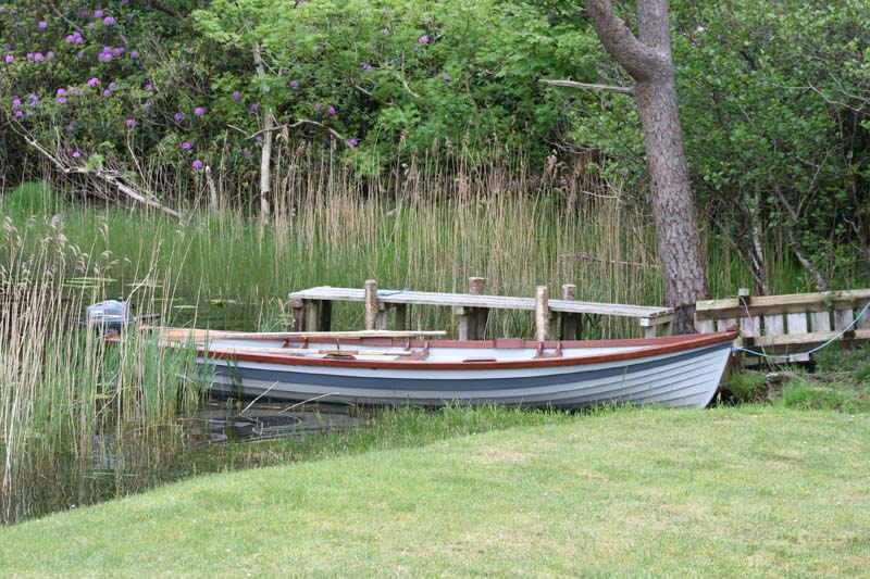 Boat in the Reeds Ireland