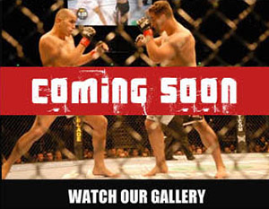 watch our gallery